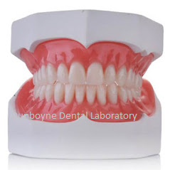 Our Dental Laboratory Products